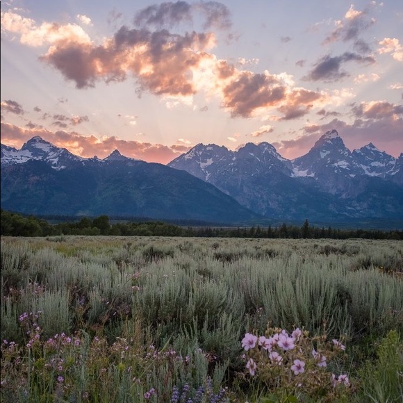 Meet your Posher, Christiana - Picture 2 of 16